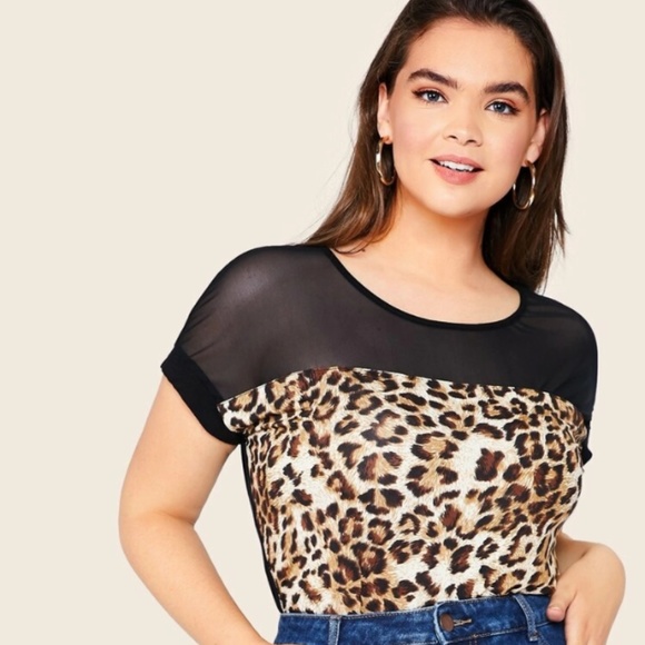 Mesh & Leopard Print Top - Picture 1 of 5